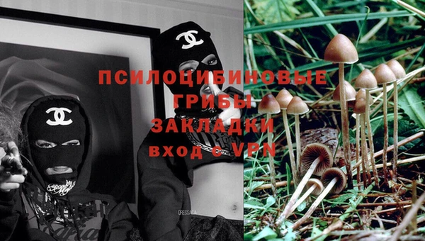 каннабис Алексеевка