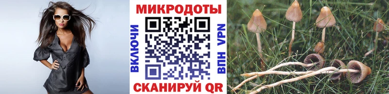 Галлюциногенные грибы мухоморы  Лермонтов 